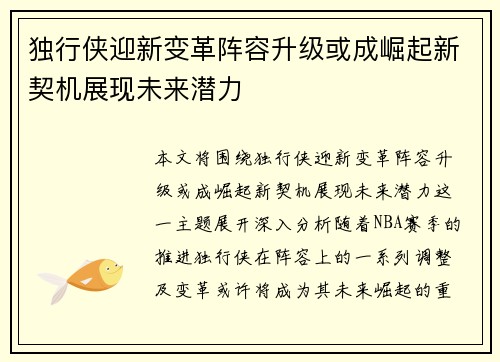 独行侠迎新变革阵容升级或成崛起新契机展现未来潜力